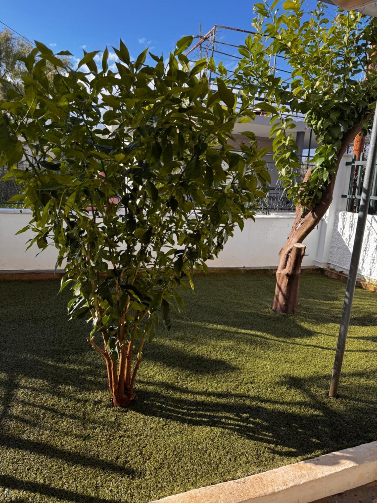 Salamis Luxury Escape Salamina Exterior foto